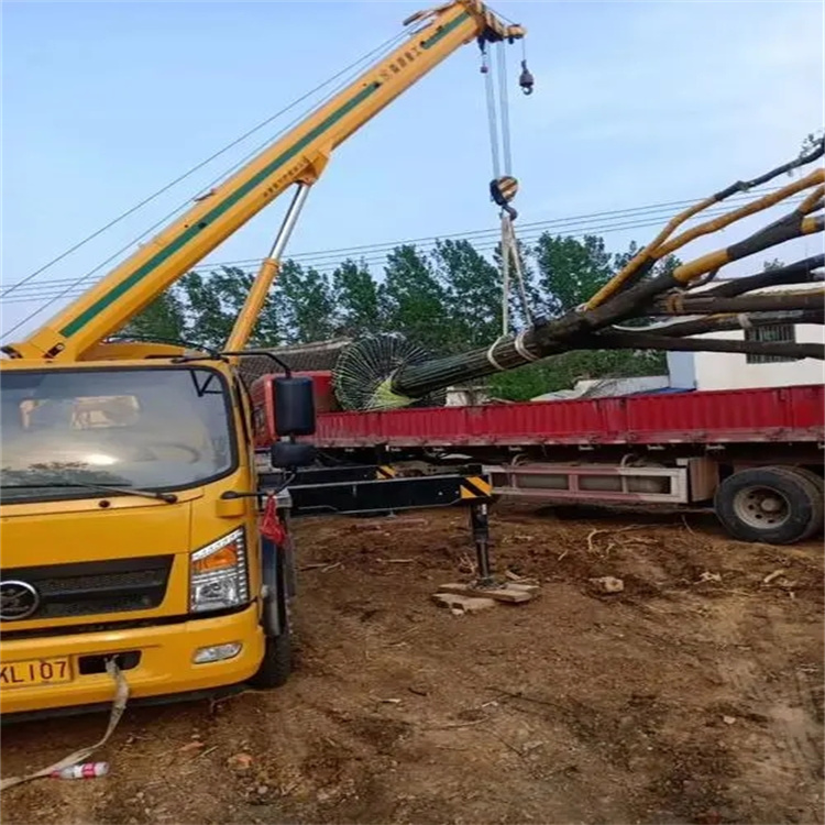 黄陂100吨吊车租赁费用怎么算？3大关键因素+省钱技巧全解析